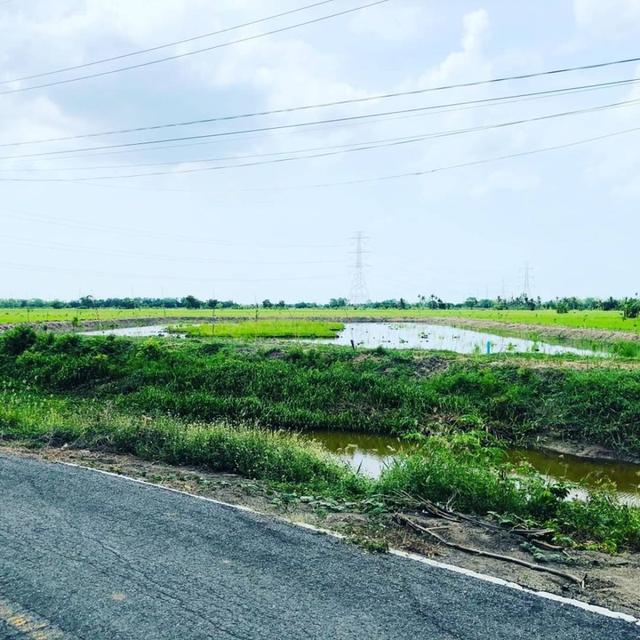 ขายที่ดิน มิตรไมตรี 6 หนองจอก มีนบุรี ถนนลาดยาง มีคลองกั้นน้ำไว้เพาะปลูก 3