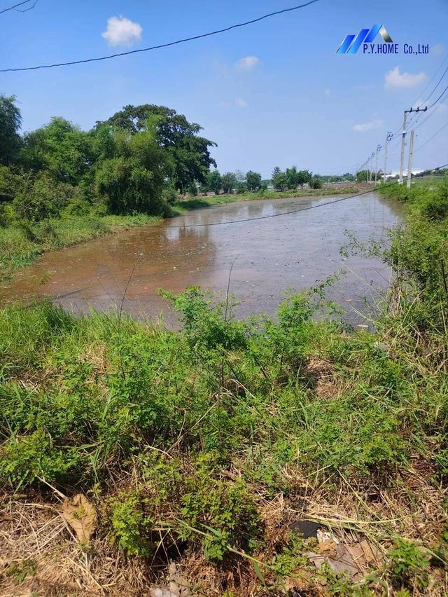ขายที่ดิน 2-0-88 คลองสิบสอง หนองจอก 10