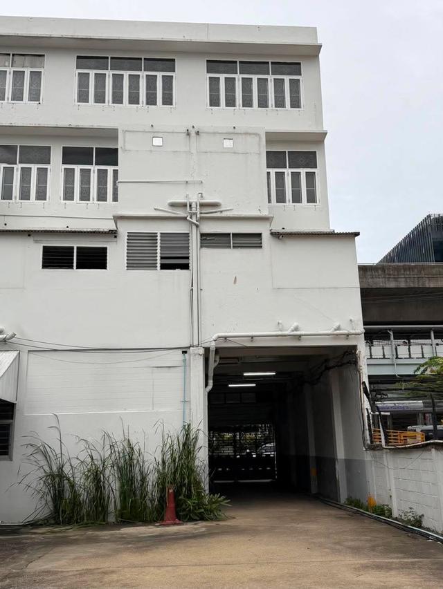 Land for sale on Sukhumvit main road 17