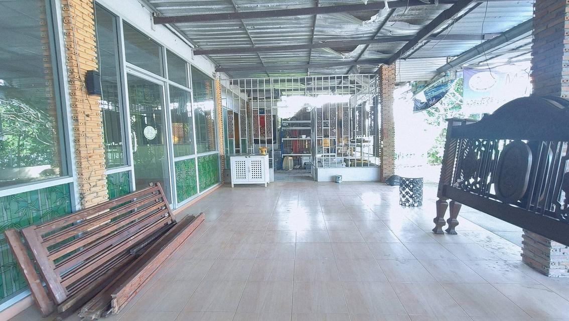 ขาย/ให้เช่า ที่ดินอ่างทอง เจ้าของขายเอง 8