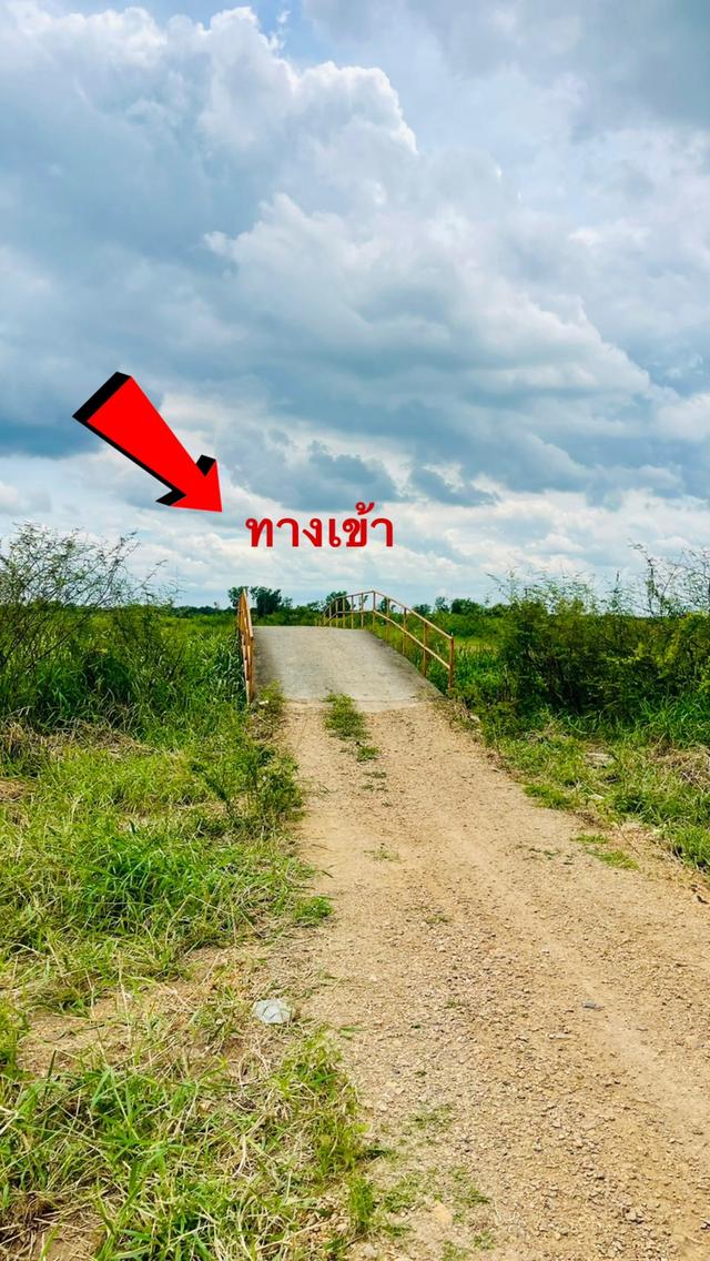 ขายที่ดินนครนายก (คลอง 15) เนื้อที่ 22-0-67.6 ไร่ 1