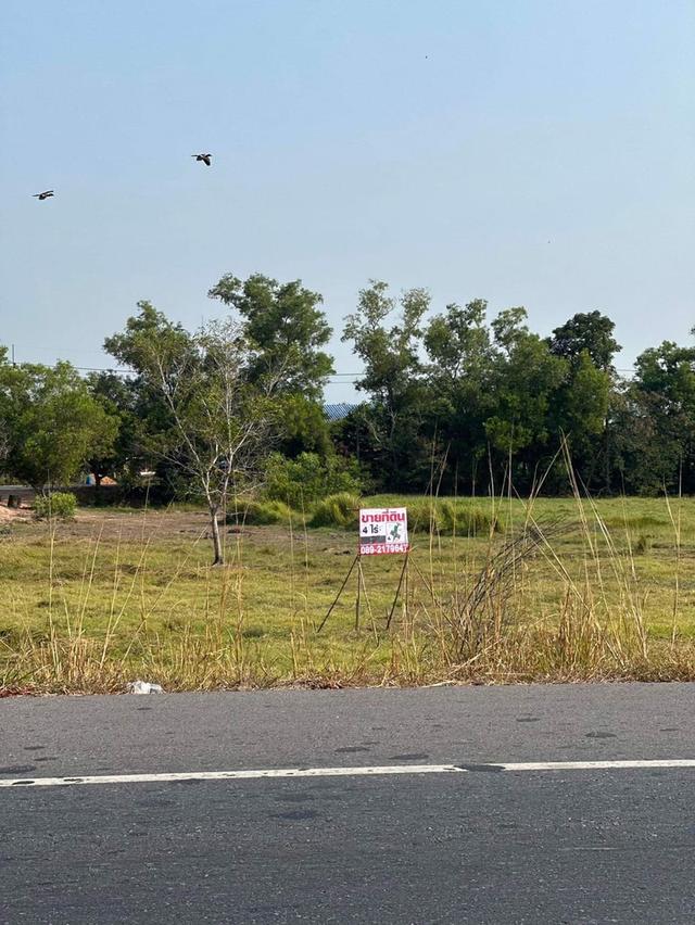ขายที่ดินติดถนน ขาย ที่ดิน ติดถนน นครนายก 4 ไร่ 3