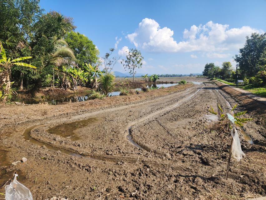 ขายที่ดิน ที่นาพร้อมบ่อปลา หมู่ 3 ต.เวียงเหนือ อ.เวียงชัย จ.เชียงราย ขนาด 2ไร่ 3 งาน 28 ตรว.มีทางเข้าออก สาธารณะ +ไฟฟา/น้ำปะปา เข้าถึง ราคา 9 แสนบาท ส 3