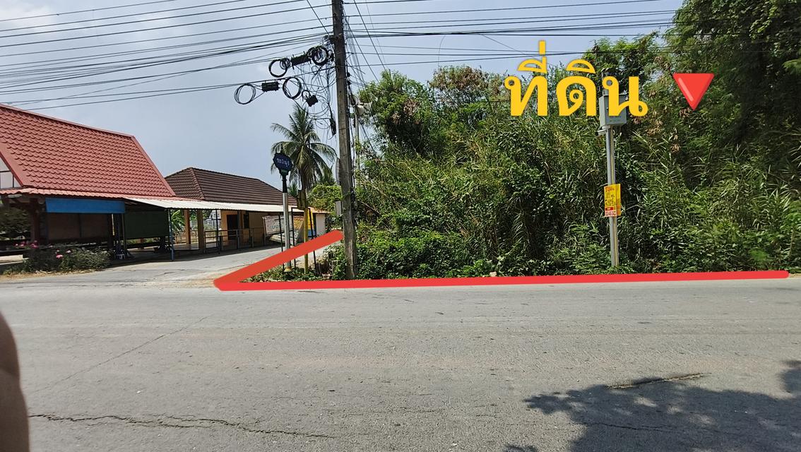 ที่ดินนครชัยศรี ใกล้ด่านขึ้น-ลงM81 1
