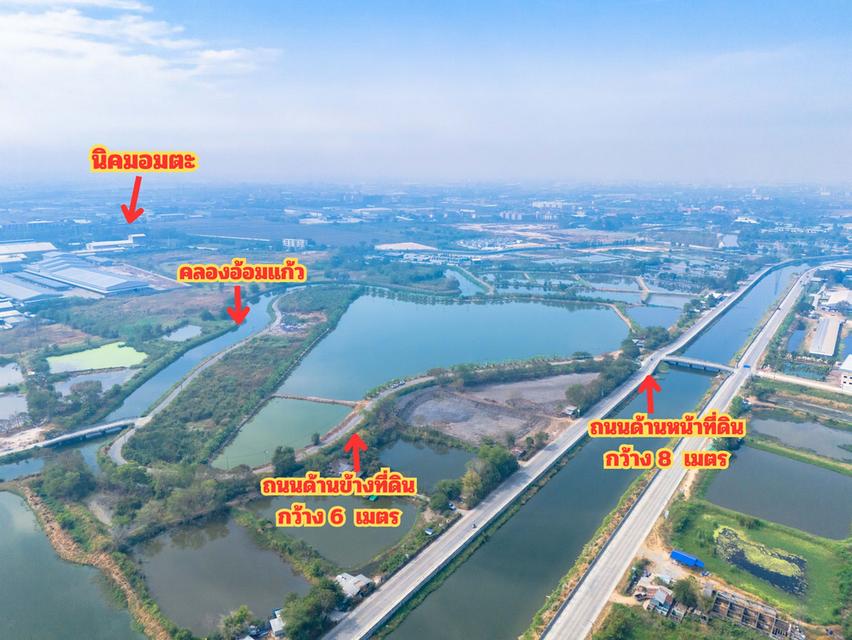 ขายที่สีม่วง 46 ไร่ ใกล้ถนนเลียบมอเตอร์เวย์ สาย 7 ใกล้นิคมอมตะ ชลบุรี ต.บางนาง อ.พานทอง จ.ชลบุรี 6