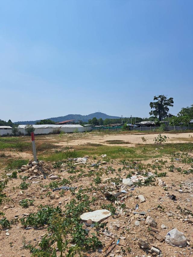 ขายด่วนที่ดินทำเลดี ศรีราชา จังหวัดชลบุรี 9