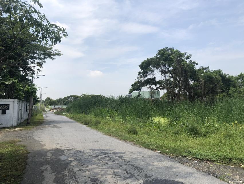 ให้เช่าที่ดินเปล่า 358 ตารางวา 7