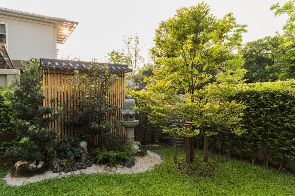 บ้านให้เช่า BARANEE PARK ศรีนครินทร์-ร่มเกล้า 3น4 น้ำ 65,000 ใกล้สุวรรณภูมิ 12