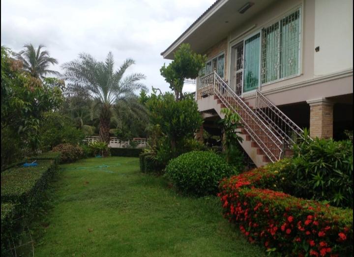 บ้านสวนสวยพร้อมอยู่บนเนื้อที่ 3 ไร่เศษบรรยากาศดีการเดินทางสะดวกใกล้จุดขึ้น-ลงทางด่วน M82 บ้านแพ้ว สมุทรสาคร ปลูกผลไม้เ็มพื้นที่เก็บกินได้ตลอดปี 10 ล. รูปย่อยที่ 3