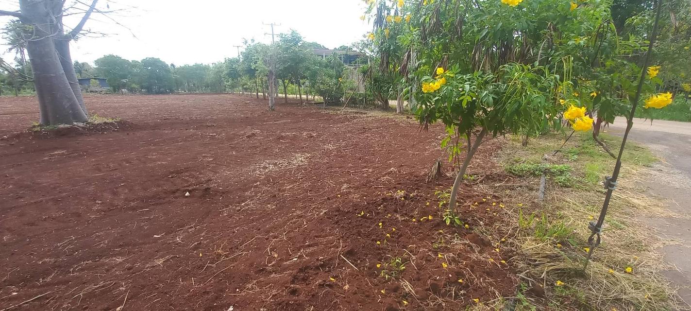 ขายที่ดินเขาใหญ่ 3-6 ไร่ ตำบล หมูสี แปลงสวย ติดถนน 1