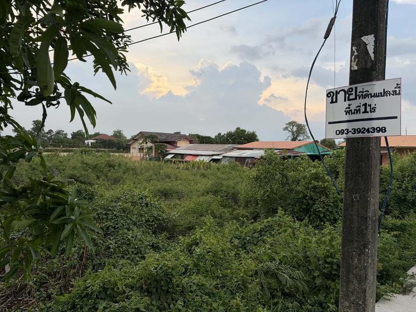 ขายที่ดิน 1 ไร่ เขตพื้นที่ EECฉะเชิงเทรา ใกล้สถานีรถไฟบางน้ำเปรี้ยว ใกล้คลองแสนแสบวิวทุ่งนาร่มรื่นเงียบสงบพักผ่อนวัยเกษียร เหมาะสำหรับปลูกที่อยู่อาศัว 2