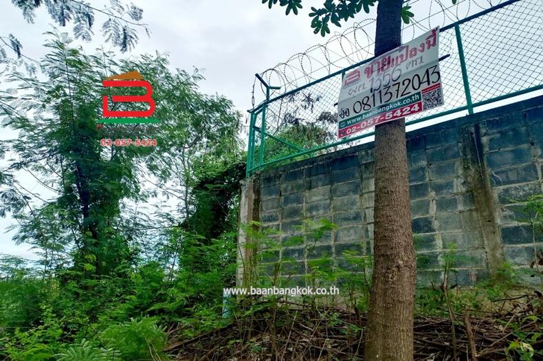 ที่ดินเปล่า คูบางหลวง-ลาดหลุมแก้ว เนื้อที่ 3-1-56 ไร่ ติดบจก.ชาญนครวิศวกรรม ตำบลคูบางหลวง อำเภอลาดหลุมแก้ว จังหวัดปทุมธานี