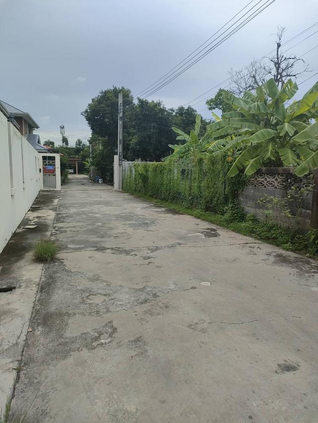 ขายที่ดินเปล่าถมแล้วในถนนลาดพร้าวซอย 48 กรุงเทพมหานคร 11