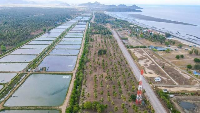 ขายที่ดิน 2 ไร่ กุยบุรี ติดถนนเลียบชายหาด กุยบุรี ห่างชายหาด 200เมตร เหมาะทำรีสอร์ท เวลเนส พูลวิลล่า 4