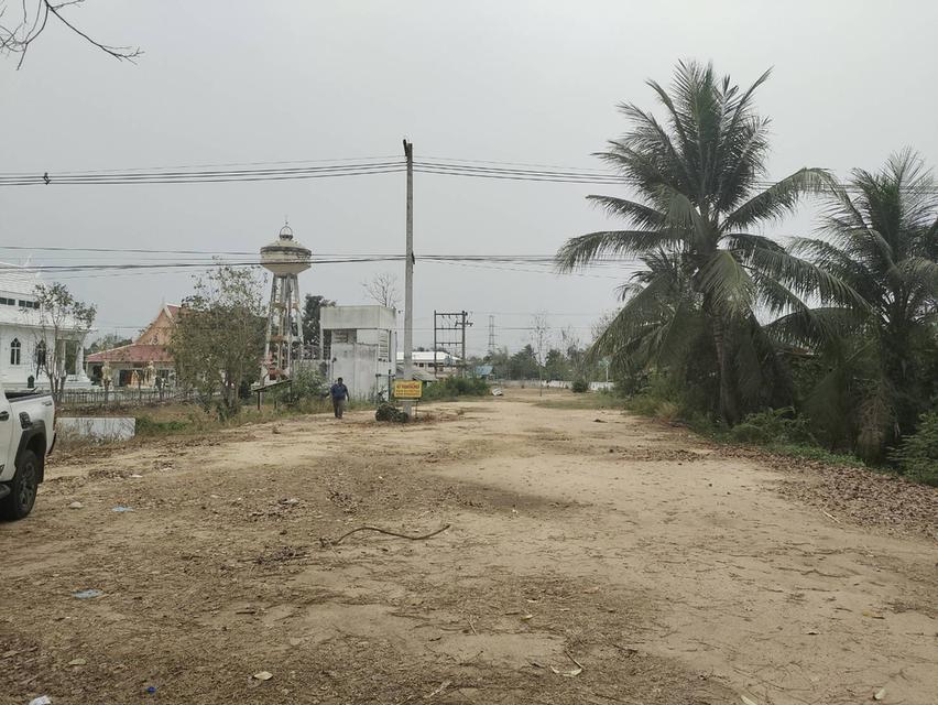 ขายที่ดินเปล่า ทำเลดี ติดถนน​ อำเภอวชิรบารมี จังหวัดพิจิตร  7