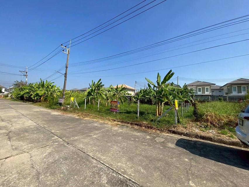 ขายต่ำกว่าประเมิน ที่ดินหมู่บ้านปาริชาต 76 ตรว ถมแล้วทั้งแปลง โซน A62/1 ถนน 345 อ.เมืองปทุมธานี จ.ปทุมธานี 7