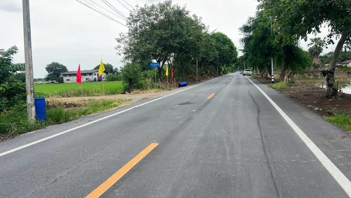 ขายที่ดินเปิดแปลงใหม่ คลอง 11 ตำบล บึงบา อำเภอ หนองเสือ ปทุมธานี 7