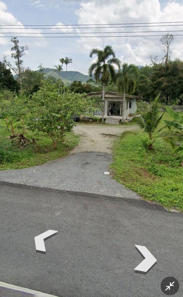 ขายที่ดินพร้อมสิ่งปลูกสร้าง 8 ไร่ ติดถนนใหญ่ อ.พรหมคีรี จ.นครศรีธรรมราช 2