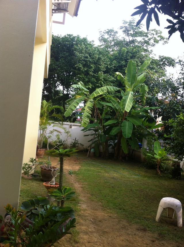 ขายถูก บ้านเดี่ยว 2 ชั้น หลังหัวมุม หมู่บ้านลลิลอินเดอะพาร์ค 5 นอน 3 น้ำ วัชรพล 3 (เจ้าของขายเอง) 7