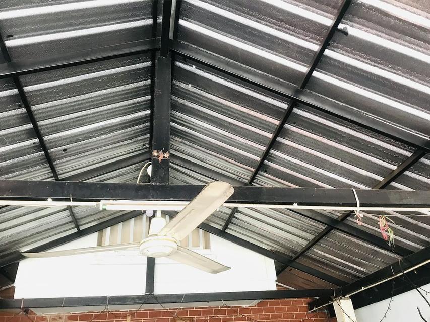 ขายทาวน์โฮม (37.30 ตารางวา) เหมาะค้าขาย + อยู่อาศัย - ใกล้เมกาบางนา - The Connect 2 บางนา กม.10-สุวรรณภูมิ 6