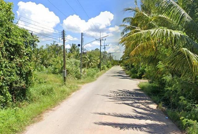 พื้นที่ดิน ที่ดิน พร้อมสวนเกษตร (สวนยาง+มะพร้าว) ต.ชัยบุรี อ.เมืองพัทลุง จ.พัทลุง 7 ไร่ 1 งาน 88 ตารางวา ใกล้ วัดวิหารสู 3