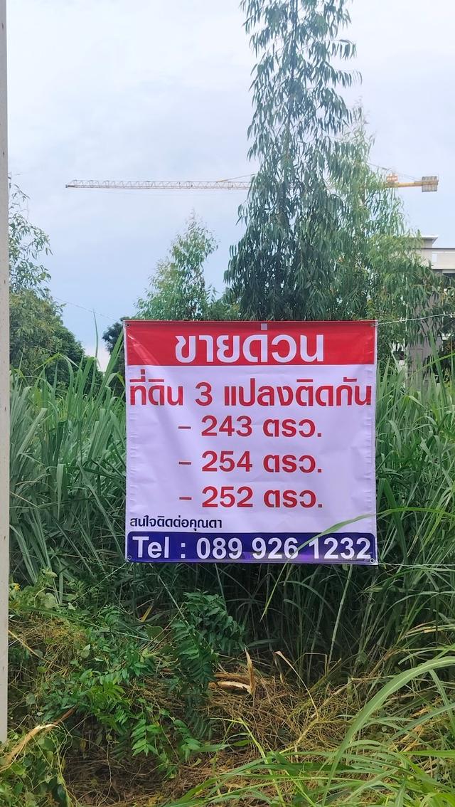 ขายที่ดินคลองหลวงแพ่ง ถนนสุวินทวงศ์  อ.เมืองฉะเชิงเทรา 3แปลงติดกัน รูปทรงสวย 8