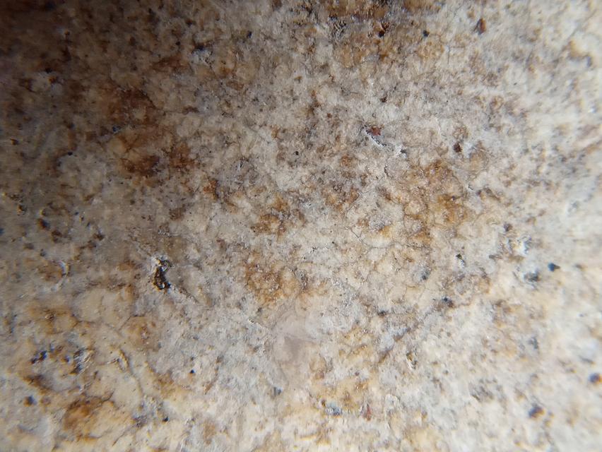 พระสมเด็จวัดระฆังพิมพ์ใหญ่ 9