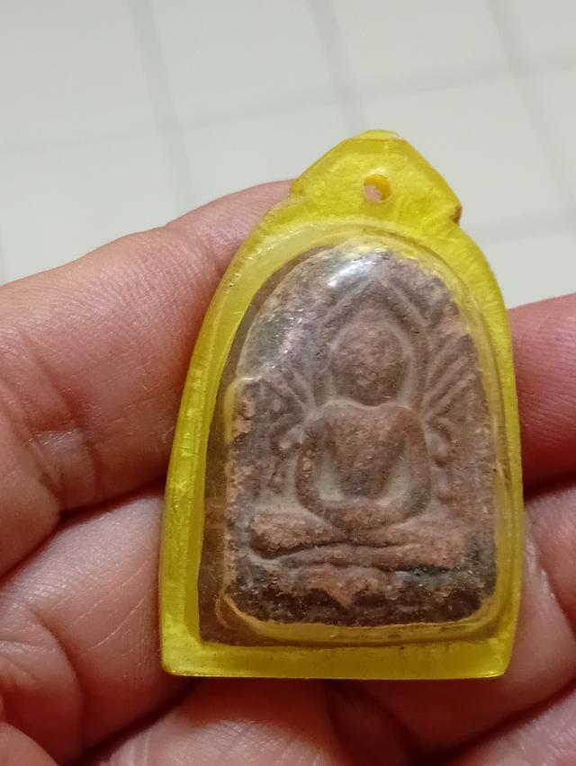 พระชุมกอกำแพงเพชรเก่า