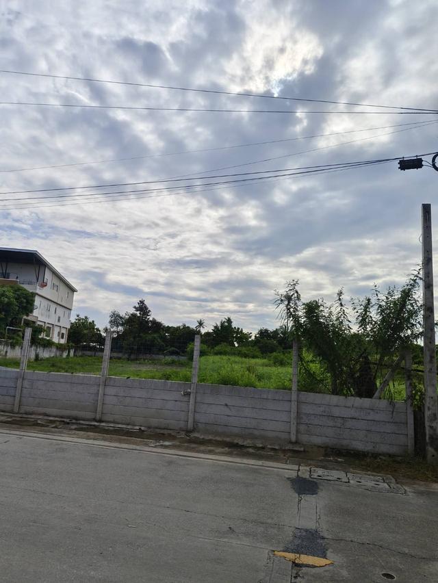 ให้เช่าที่ดิน - พระราม 2 ซอย 25 (เนื้อที่ 3 งาน 28 ตารางวา) 6