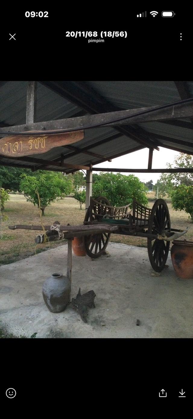 ขายที่ดินพร้อมสิ่งปลูกสร้าง เนื้อที่ 3 ไร่ 1 งาน 94 ตารางวา ตำบลพุแค จังหวัดสระบุรี 16