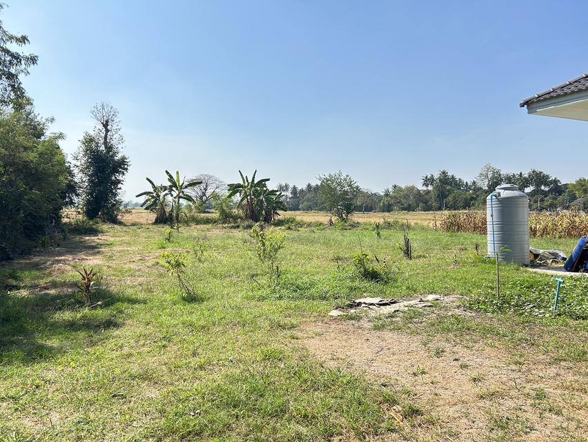 บ้านชั้นเดียว เนื้อที่ 1 ไร่ 5