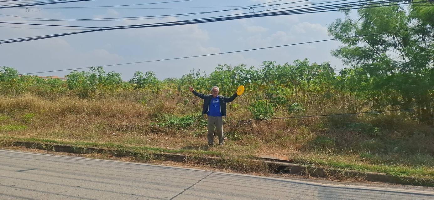 ที่ดิน อ.เมือง จ.นครราชสีมา รูปย่อยที่ 2