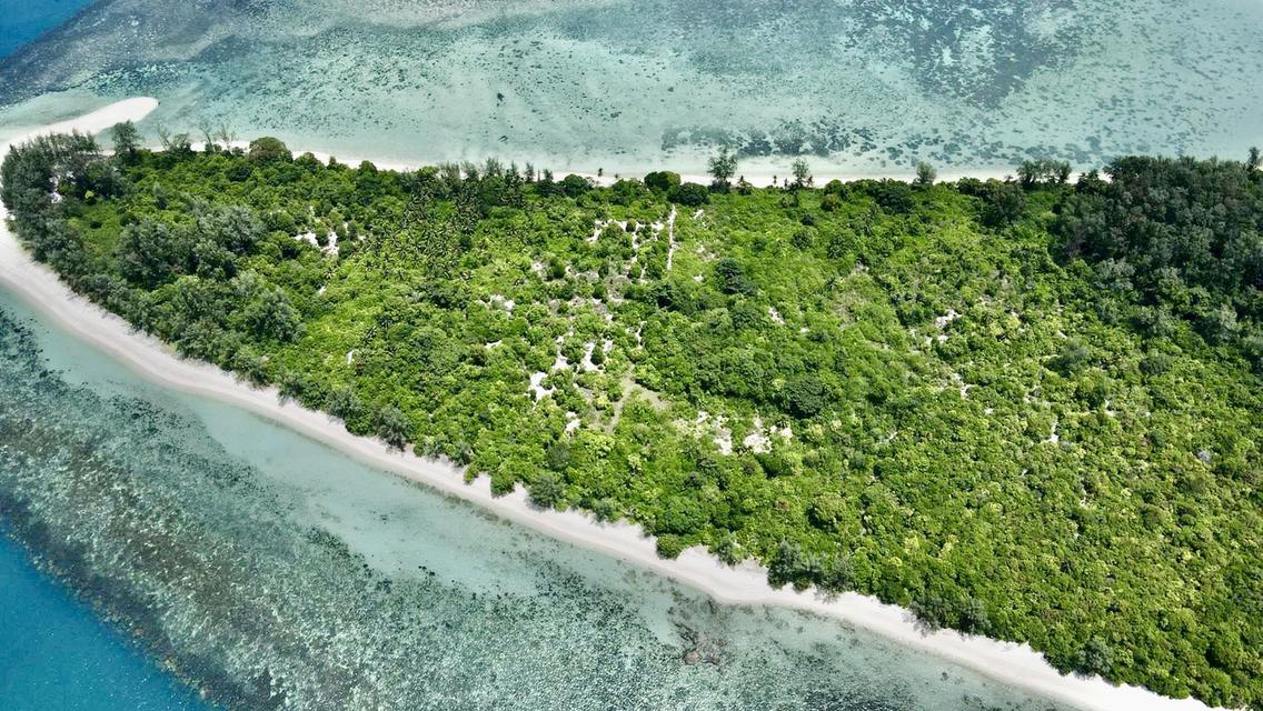 ที่ดินเกาะราบ ใกล้กับเกาะสมุย เดินทางด้วยเรือ หางยาว เรือสปีดโบ๊ท 14