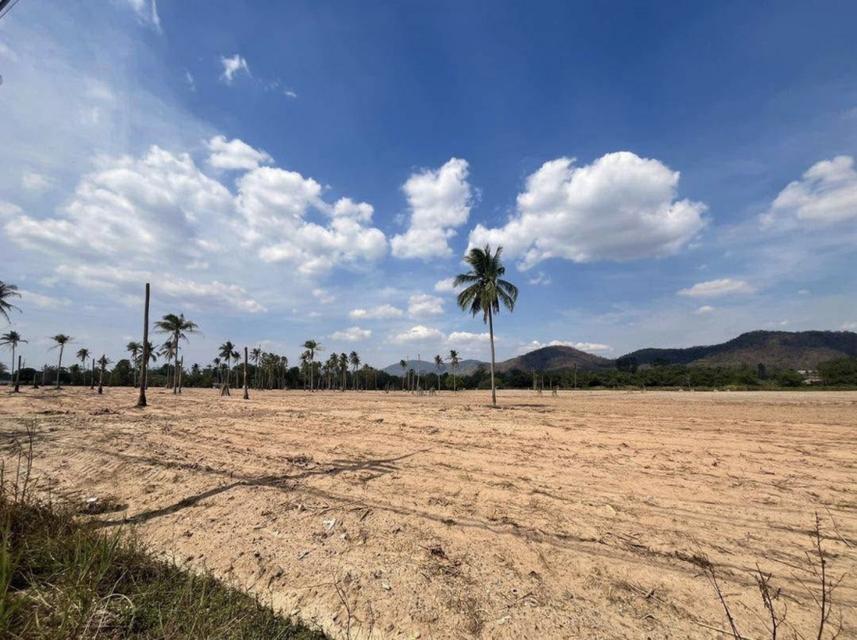 ขายที่ดินศักยภาพสูง ผังม่วงลาย (อุตสาหกรรม)  ชลบุรี บางละมุง นครแหลมชะบัง 5