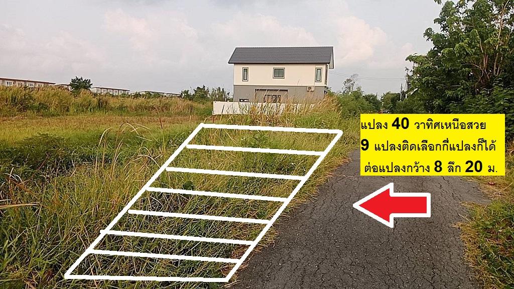 ขายที่ดินจัดสรร 9-10 แปลงพิเศษแปลงจัดสรรพหลโยธิน 54ทับ1 แยก 8-4-3 ซอยตาลเดี่ยวแปลงพิเศษ 40 ตารางวา ไม่ถึงล้าน 9.6 แสนทำพิเศษมาเพื่อทุกท่านซื้อทำบ้านไ 9