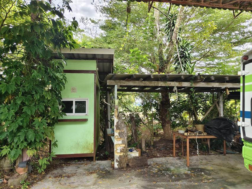 ที่ดินพร้อมอาคาร ห้องแถว โกดังเก็บของ 7