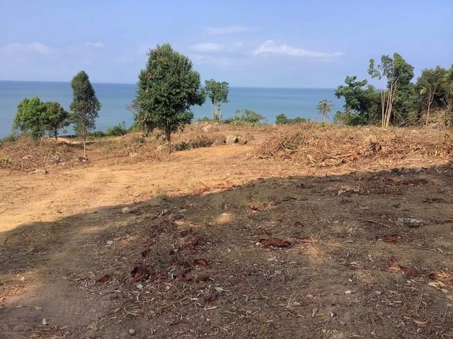 ที่ดิน ที่ดิน หาดเล็ก จ.ตราด 48000000 บ. 7956 ตร.ว. ใกล้ ห่างด่านพรมแดนคลองใหญ่ ประมาณ1.7 กม. และ เกาะกูด ประมาณ 33 กม.  5