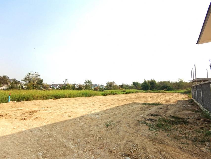 ขาย ที่ดิน ME362 แปลงเล็ก ถมแล้ว ทำเลดี ราคาถูก กุฎโง้ง เทศบาลพนัสนิคม ชลบุรี . 2 งาน ใกล้ โลตัส พนัสศึกษาลัย ถนนศุขประย 5