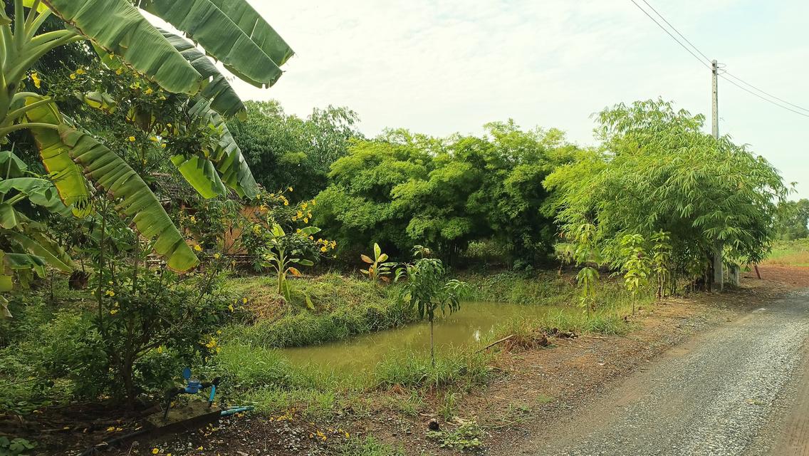 ที่ดินบ้านพร้อมอยู่ 1ไร่1งาน33 ตรว. 10