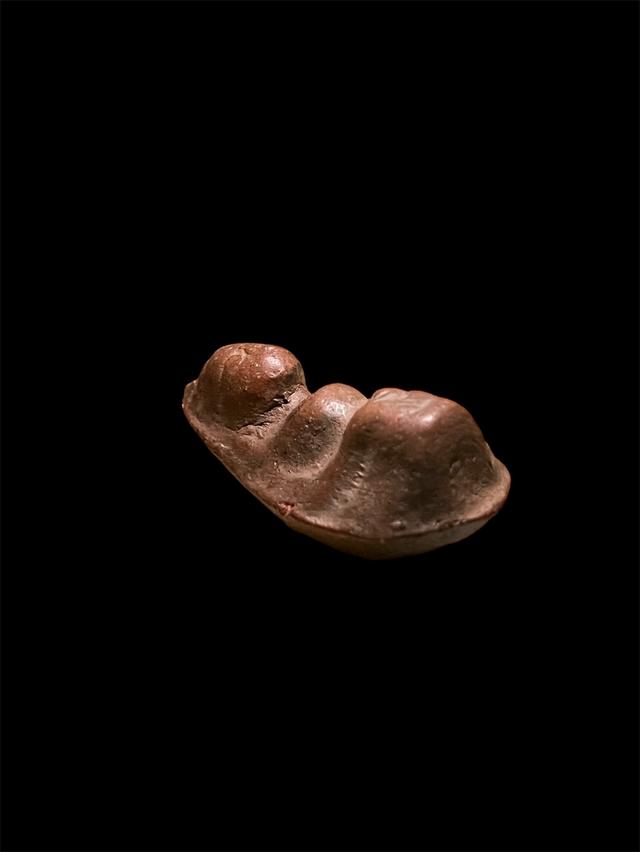 พระกรุถ้ำเสือ  สุพรรณบุรี หน้าฤาษี นิ้วมือชัดนิยม  4