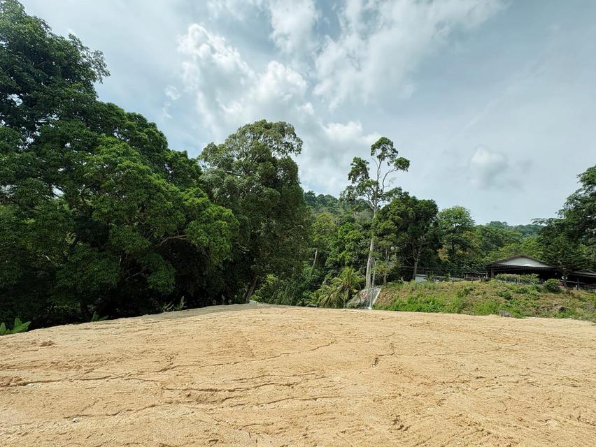 ขายที่ดินซีวิวหาดป่าตอง รูปที่ 11