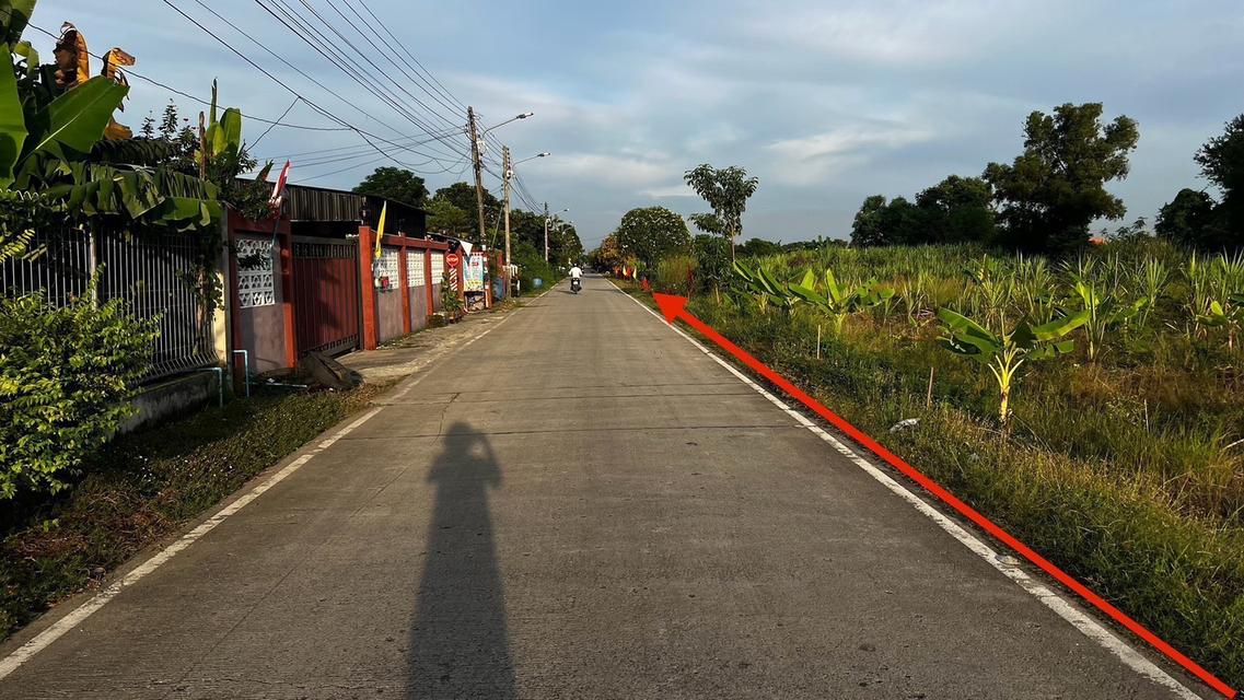 ขายที่ดินเปิดแปลงใหม่ คลองสาม  คลองหลวง ปทุมธานี 100 ตารางวาเพียง  8.5 แสนบาท 5