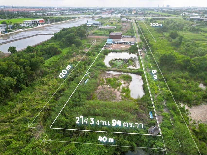 ที่ดินปทุมธานี คลอง4 1