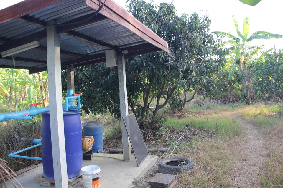 ขายที่ดินสวย อำเภอกำแพงแสน  จังหวัดนครปฐม 5 ไร่ 5 ตารางวา 3