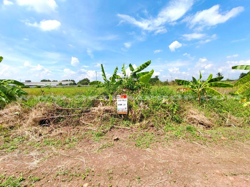 ที่ดินจัดสรรล็อคที่ 10 ถ.346 ต.หน้าไม้ อ.ลาดหลุมแก้ว จ.ปทุมธานี 2