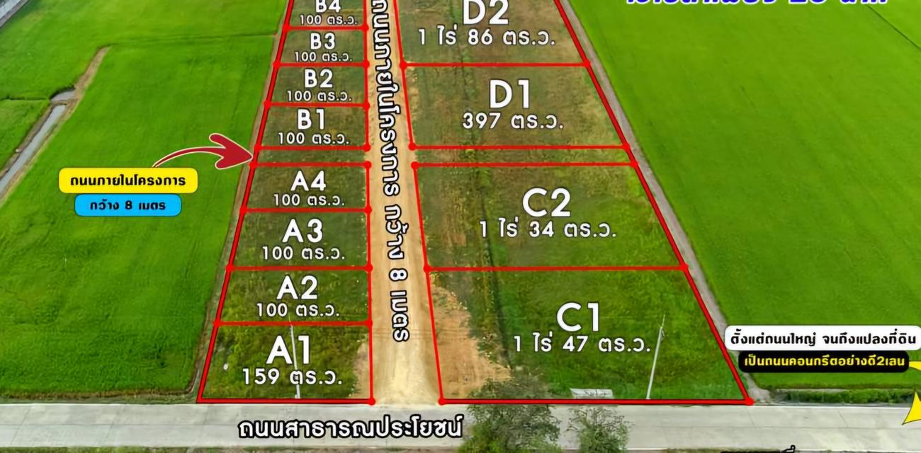 ที่ดินบางเลน 1