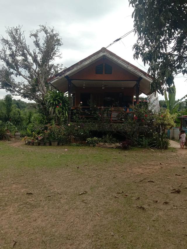 บ้านพร้อมที่ดิน คลองสอง วังน้ำเขียว 4