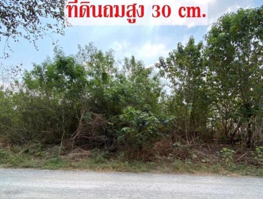 ขายที่ดินทำเลดี 3 แปลง 400 ตารางวา ซ.11 ต.ช่องสาริกา อ.พัฒนานิคม จ.ลพบุรี  7