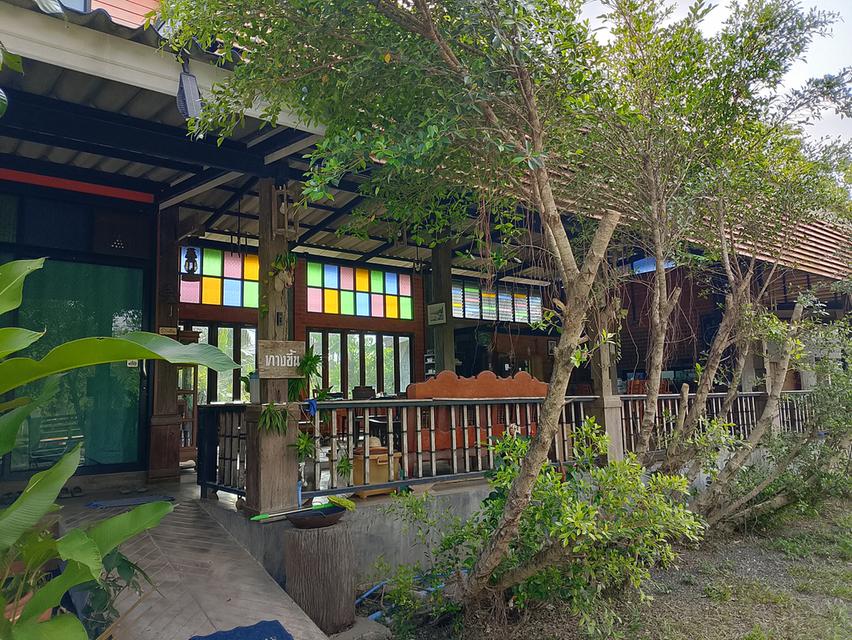 บ้านพร้อมที่ดินขนาด1ไร่ 37ตรว บ้าน4ก้องนอน4ห้องน้ำ พื้นทีจอดรถได้หลายคัน พร้อมทั้งสวนผลไม้ 5