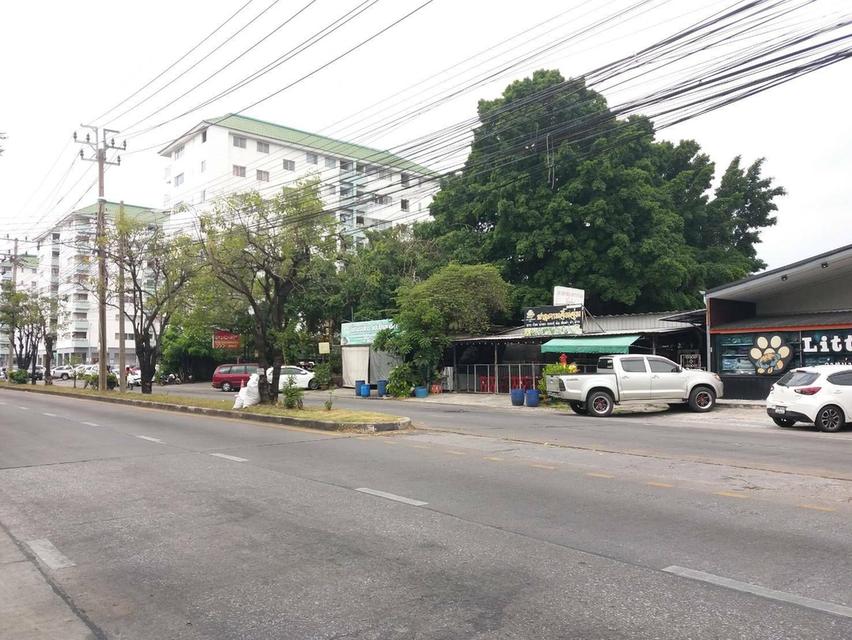 ขายที่ดิน 2-1-83 ไร่ ถ.ลาดพร้าว แฮปปี้แลนด์สาย 1 ใกล้สถานีรถไฟฟ้าบางกะปิ แขวงคลองจั่น เขตบางกะปิ กรุงเทพๆ 3